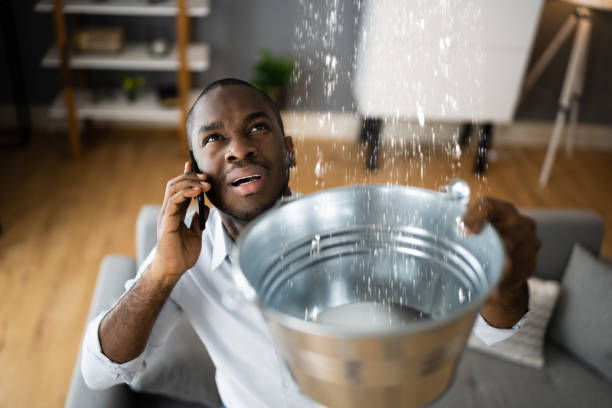 Best Basement water damage restoration  in Fort Irwin, CA