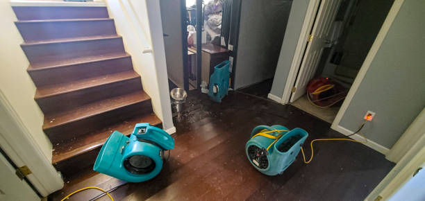 Best Flooded house restoration  in Fort Irwin, CA