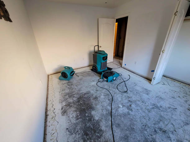 Best Residential water damage restoration  in Fort Irwin, CA