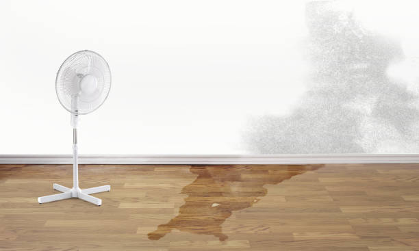 Best Fire Damage Restoration  in Fort Irwin, CA