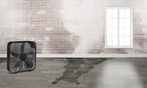 Best 24/7 water damage repair  in Fort Irwin, CA