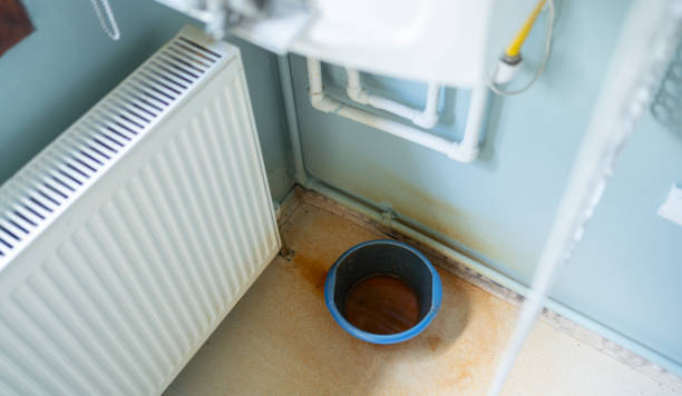Best Professional water damage repair  in Fort Irwin, CA