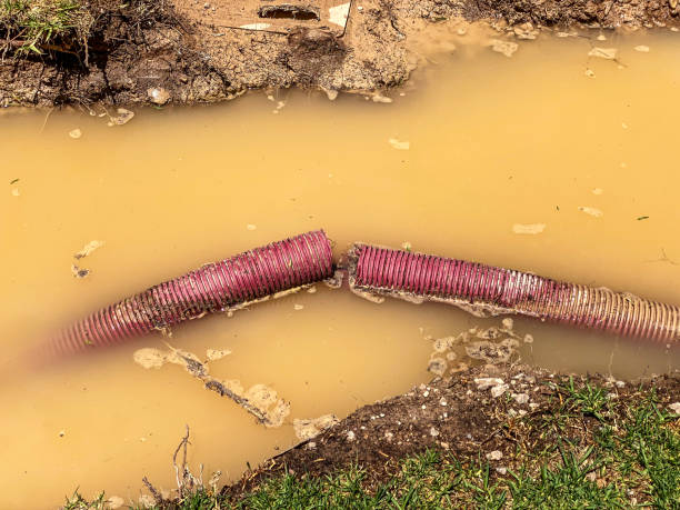 Best Flood restoration services  in Fort Irwin, CA