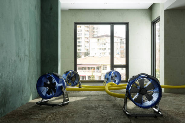 Trusted Fort Irwin, CA Water damage restoration Experts