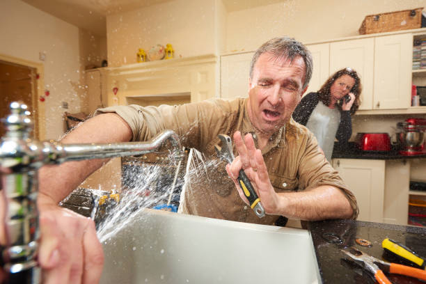 Best Mold removal after water damage  in Fort Irwin, CA
